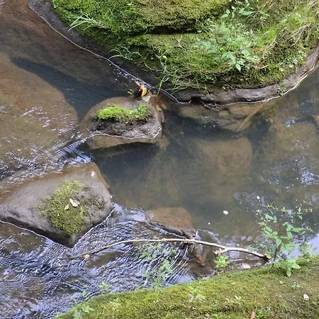 克里斯卡阿帕特曼尼酒店 公寓 Chřibská